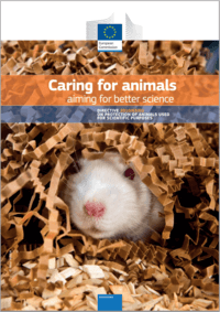 Caring For Animals